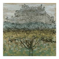 Arbor Shadow I Framed Print
