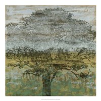 Arbor Shadow II Fine Art Print