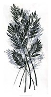 Palm Leaf Fresco I Framed Print