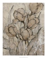 Grace II Fine Art Print