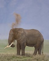 African Elephant, Ngorongoro Crater, Arusha Region, Tanzania Fine Art Print