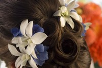 Close-up of flowers in a bride's hair, Bainbridge Island, Washington State, USA Fine Art Print