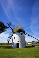 Thatched Windmill, Tacumshane, County Wexford, Ireland by Panoramic Images - 16" x 24"
