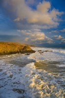 Stage Cove, Near Bunmahon, The Copper Coast, County Waterford, Ireland by Panoramic Images - 24" x 36"