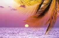 Stylized tropical scene with violet sea, pink sky, setting sun and palm fronds Fine Art Print