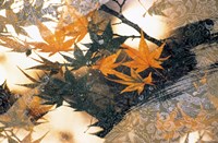 Collage of green and pale orange leaves, white paper flower and abstract rocks Fine Art Print