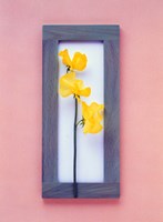 Rectangular purple frame with yellow flowers on green stems in center on pink background Fine Art Print