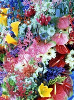 Collage of multi colored flowers Fine Art Print