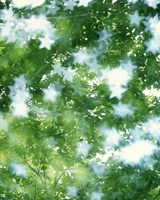 Kaleidoscopic scene with white stars with green and blue Fine Art Print