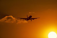 Silhouette of airliner in golden sunset Fine Art Print