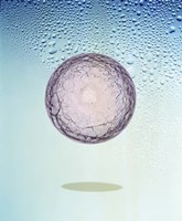 Crystal sphere floating in water and bubbles Fine Art Print