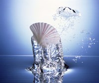 White scallop shell being raised on pillar of bubbling water Fine Art Print