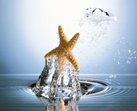 Starfish rising on water bubble toward bright light Fine Art Print