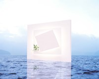 White frame with small vine floating on blue water with reflection Fine Art Print