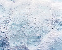 Close up of water droplets on lavender glass Fine Art Print