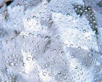 Kaleidoscopic pattern in purple, lavender and white with water droplets Fine Art Print