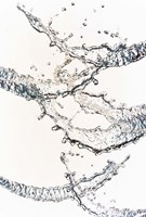 Close up of water bubbles zigzag across white background Fine Art Print