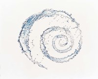Spiral of water drops with white background by Panoramic Images - 36" x 30"