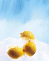 Three lemons frozen in ice below ice blue sky Fine Art Print
