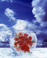 Crystal round vase filled with ice and red roses resting on seashore with blue sky and white clouds Fine Art Print