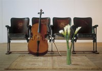Cello leaning on attached chairs Fine Art Print