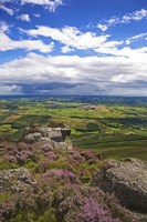 Pastoral Fields from above Coumshingaun Lake, Comeragh Mountains, County Waterford, Ireland Fine Art Print