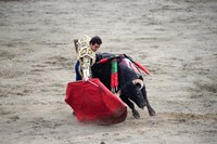 Matador and Bull Fine Art Print