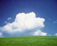 Clouds over a grassland by Panoramic Images - 16" x 13"