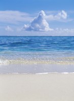Tropical beach with blue skies in background by Panoramic Images - 26" x 36", FulcrumGallery.com brand