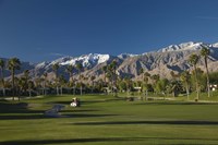 Palm trees in a golf course, Desert Princess Country Club, Palm Springs, Riverside County, California, USA by Panoramic Images - 24" x 16"