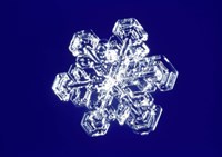 Snowflake 2 Fine Art Print
