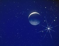 Planet and Stars in Space Fine Art Print