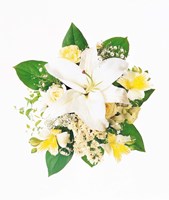 Arranged Flowers and Leaves on White Background Fine Art Print