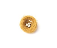 Three Eggs in Nest Illustrated On White Background Fine Art Print