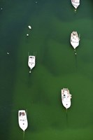Aerial view of boats in the sea, Cape Cod, Barnstable County, Massachusetts, USA Fine Art Print