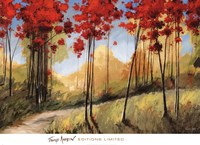 Forest Trail Fine Art Print