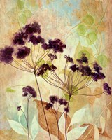 Plum Silhouette I Fine Art Print