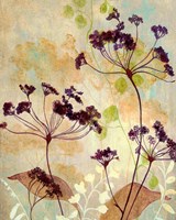 Plum Silhouetter Ii Fine Art Print
