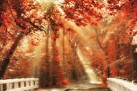 Red for Rest Fine Art Print