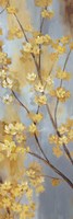 Forsythia Garden II Fine Art Print