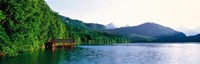 Alp Lake Hohenschwangau Germany Fine Art Print