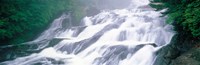 Ryuto Falls Tochigi Nikko Japan Fine Art Print