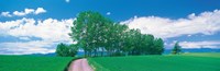 Dirt Road through Fields, Biei-Cho Hokkaido Japan Fine Art Print