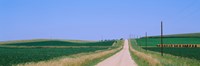 Road along fields, Minnesota, USA Fine Art Print