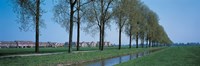 Aalsmeer Holland Netherlands