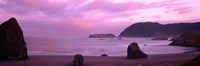 Myers Creek Beach, Oregon by Panoramic Images - 27" x 9"