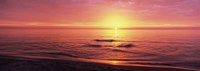 Sunset over the sea, Venice Beach, Sarasota, Florida, USA Fine Art Print