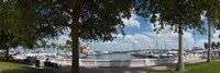 Twin Dolphin Marina, Manatee River, Bradenton, Manatee County, Florida Fine Art Print