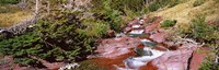 Low angle view of a creek, Baring Creek, US Glacier National Park, Montana, USA Fine Art Print