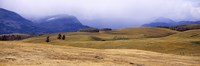 Rolling landscape with mountains in the background, East Glacier Park, Glacier County, Montana, USA Fine Art Print